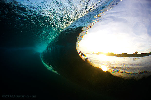 photo de surf 5310