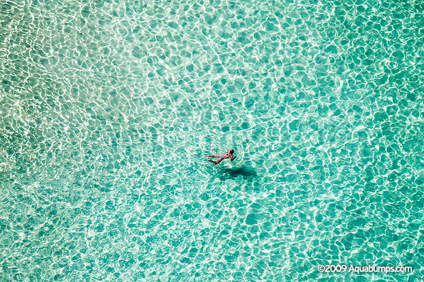 Lone Swimmer