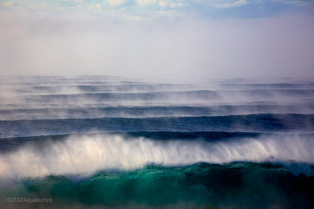 Corduroy Steamers