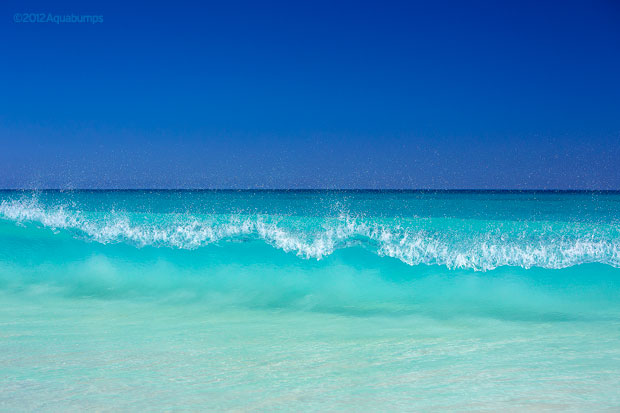 Icy Wave