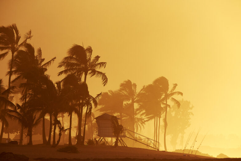 Big Swell Mist Hawaii 01q7892