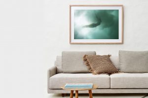 Frame Shadow Box | Raw 125cm x 91cm | $1,250
