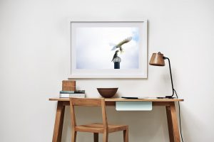 Frame Shadow Box | White 95cm x 70cm | $900