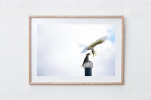 Shadow Box | Raw 125cm x 91cm | $1,250