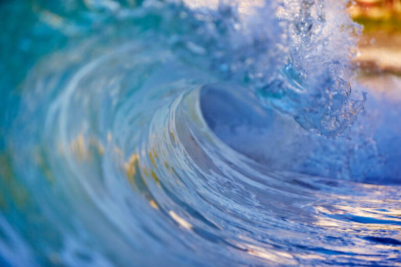 Something Curvy Aquabumps 01q4526