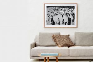 Frame Shadow Box | Raw 125cm x 91cm | $965