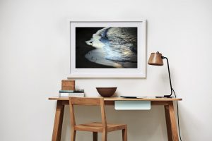 Frame Shadow Box | White 95cm x 70cm | $640