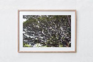Shadow Box | Raw 125cm x 91cm | $965