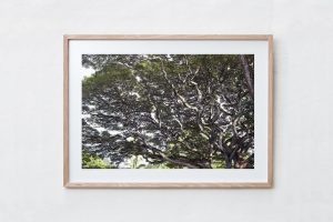 Shadow Box | Raw 125cm x 91cm | €975