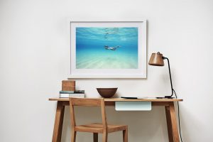 Frame Shadow Box | White 95cm x 70cm | $1,000