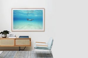Frame Shadow Box | Raw 167cm x 118cm | €2,080