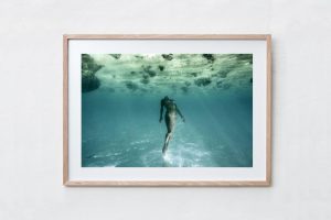 Shadow Box | Raw 125cm x 91cm | $1,050