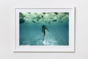 Shadow Box | White 125cm x 91cm | $1,050