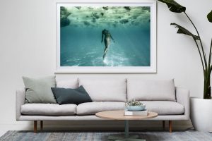 Frame Shadow Box | White 167cm x 118cm | $2,235