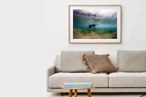 Frame Shadow Box | Raw 125cm x 91cm | $965