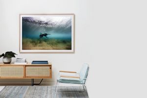 Frame Shadow Box | Raw 167cm x 118cm | $2,050