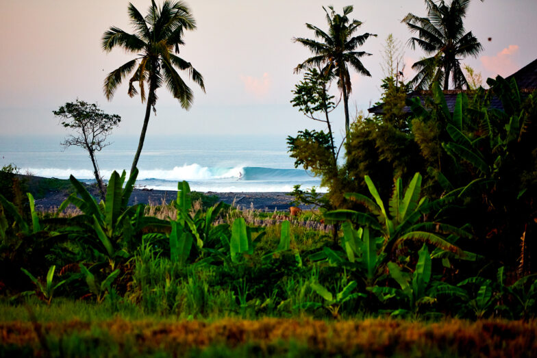 Canggu jungle, Bali