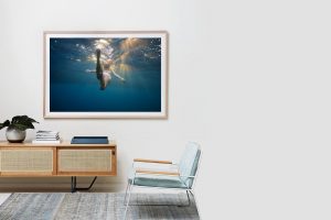 Frame Shadow Box | Raw 167cm x 118cm | €2,080