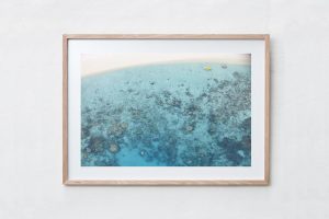 Shadow Box | Raw 125cm x 91cm | €975