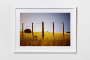 Shadow Box | White 125cm x 91cm | €975
