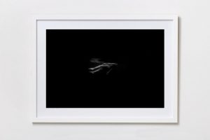 Shadow Box | White 125cm x 91cm | $1,500