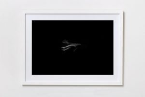 Shadow Box | White 125cm x 91cm | $1,500