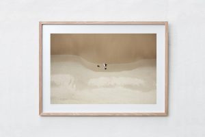 Shadow Box | Raw 125cm x 91cm | $965