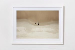 Shadow Box | White 125cm x 91cm | $965