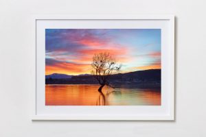 Shadow Box | White 125cm x 91cm | $1,050