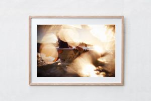 Shadow Box | Raw 125cm x 91cm | $965