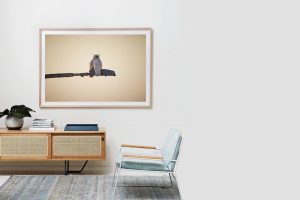 Frame Shadow Box | Raw 167cm x 118cm | $3,200