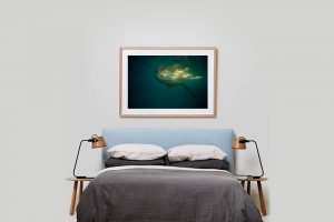 Shadow Box | Raw 125cm x 91cm | $965