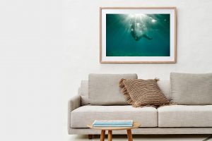 Frame Shadow Box | Raw 125cm x 91cm | $1,500