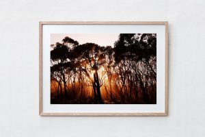 Shadow Box | Raw 125cm x 91cm | $1,050