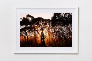 Shadow Box | White 125cm x 91cm | $1,050