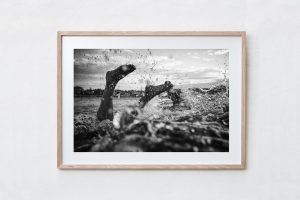 Shadow Box | Raw 125cm x 91cm | $1,300