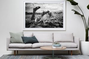 Frame Shadow Box | White 167cm x 118cm | $3,150