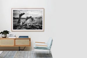 Frame Shadow Box | Raw 167cm x 118cm | $3,200