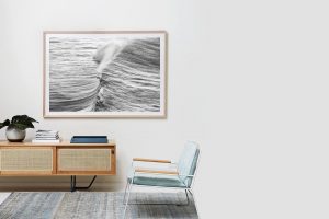 Frame Shadow Box | Raw 167cm x 118cm | $3,150