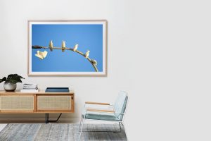 Frame Shadow Box | Raw 167cm x 118cm | $3,200