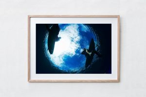 Shadow Box | Raw 125cm x 91cm | $965
