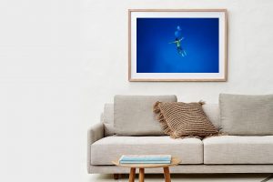 Frame Shadow Box | Raw 125cm x 91cm | $1,300