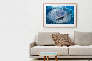 Frame Shadow Box | Raw 125cm x 91cm | $1,050
