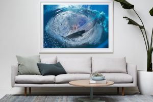 Frame Shadow Box | White 167cm x 118cm | $2,235