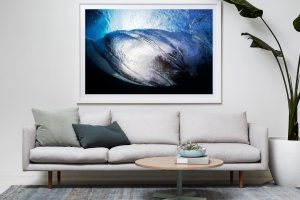 Frame Shadow Box | White 167cm x 118cm | $2,050