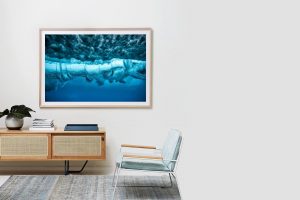 Frame Shadow Box | Raw 167cm x 118cm | $3,200