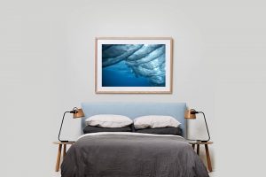 Shadow Box | Raw 125cm x 91cm | $965