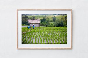 Shadow Box | Raw 125cm x 91cm | €975