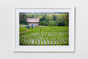 Shadow Box | White 125cm x 91cm | $1,500