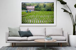 Frame Shadow Box | White 167cm x 118cm | €2,080